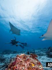 Aquaventure PADI 5 Star Dive Center