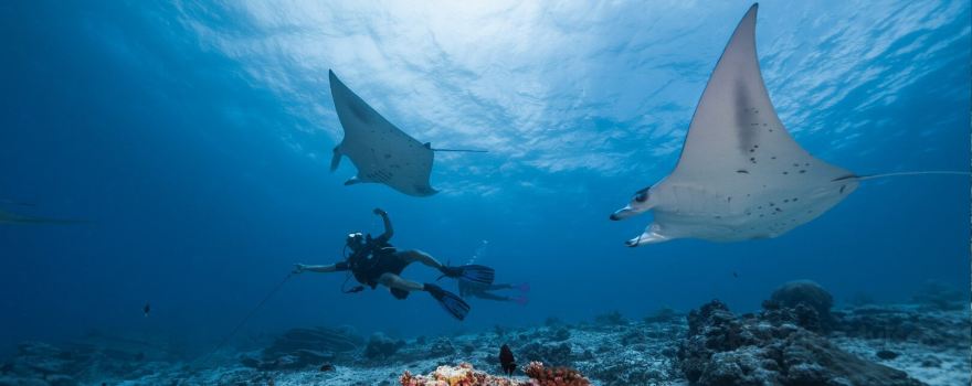 Aquaventure PADI 5 Star Dive Center