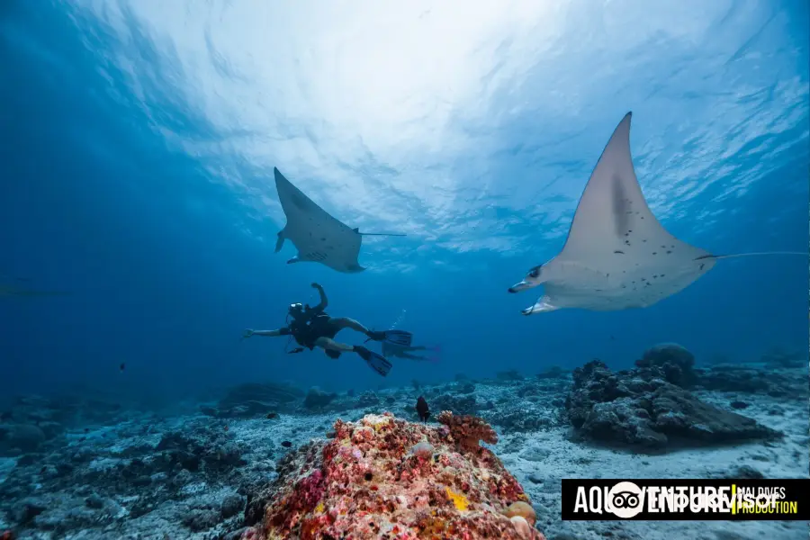 Aquaventure PADI 5 Star Dive Center