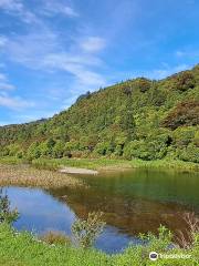 Wainuiomata Regional Park