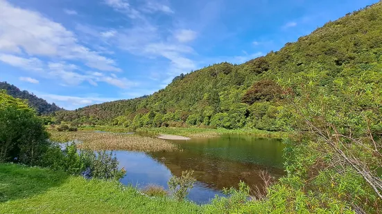 Wainuiomata Regional Park