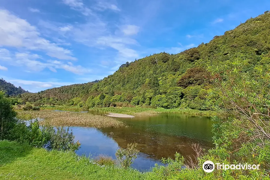 Wainuiomata Regional Park