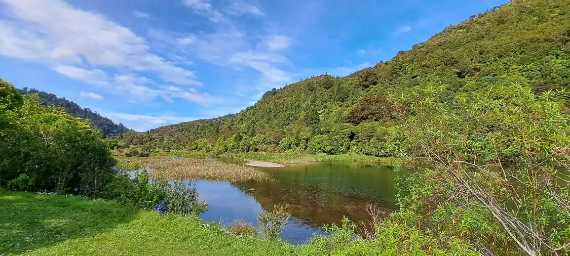 와이누이오마타 리저널 공원 주변 호텔