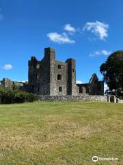 Bective Abbey