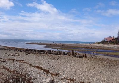 Roberts Creek Pier