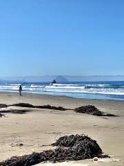 Cayucos State Beach