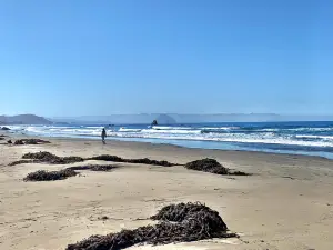 Cayucos State Beach