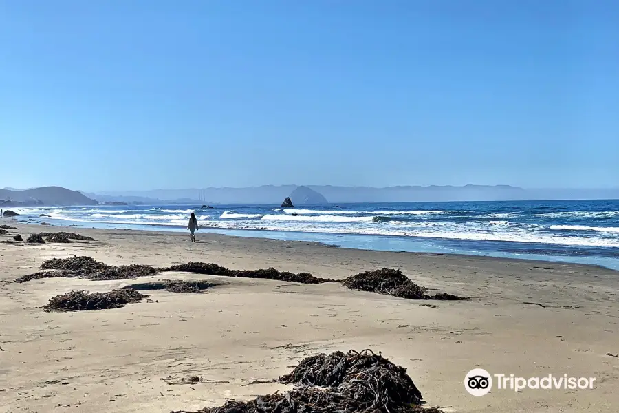 Cayucos State Beach