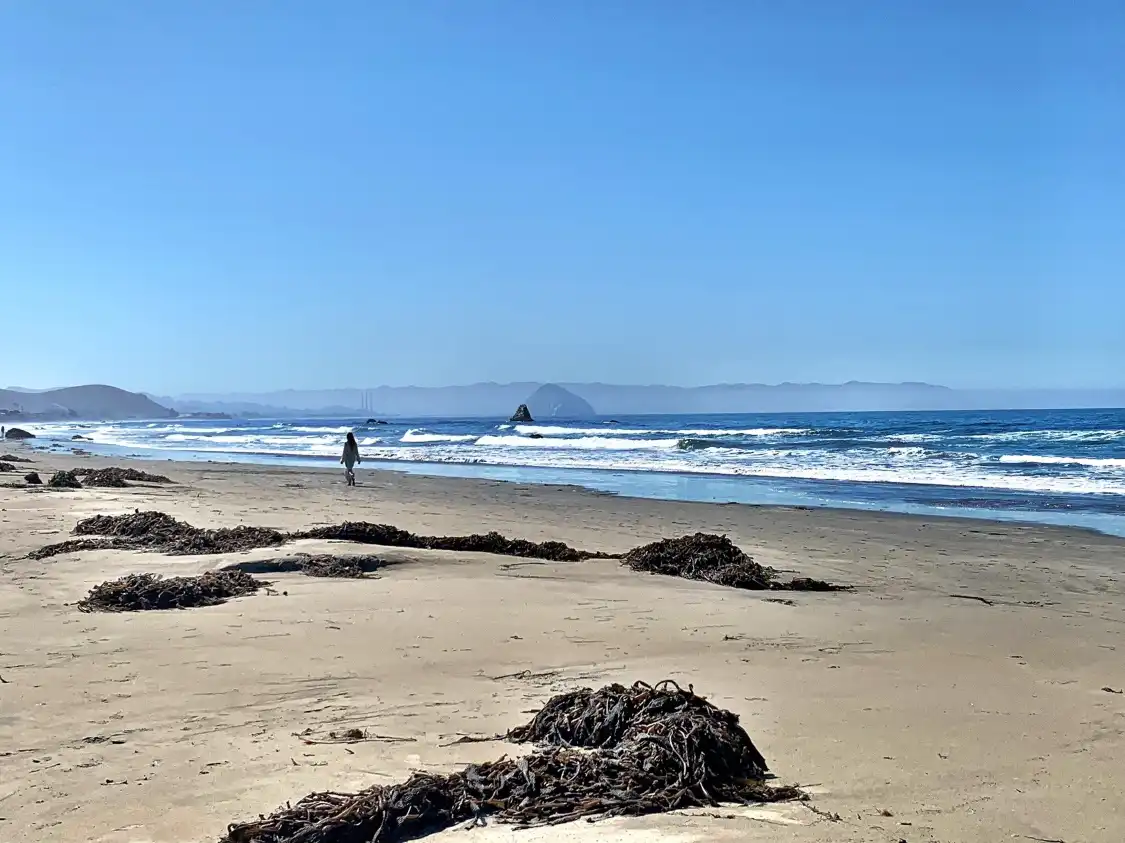 Hotels near Cayucos State Beach