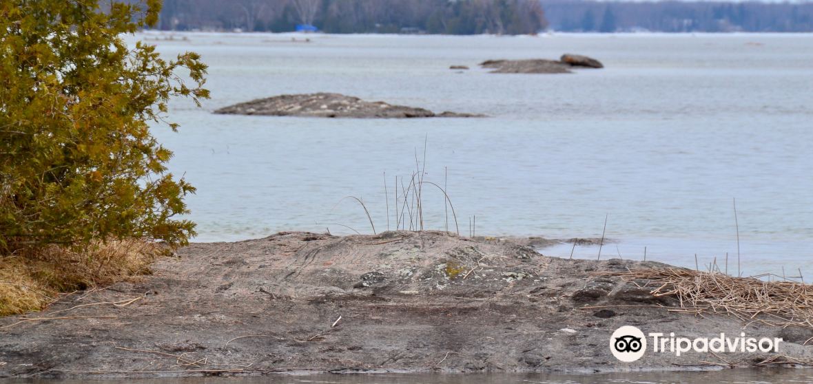 Things to Do in Washago in 2024 Top Attractions, Local Food, Hotels