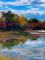 Osawa Pond