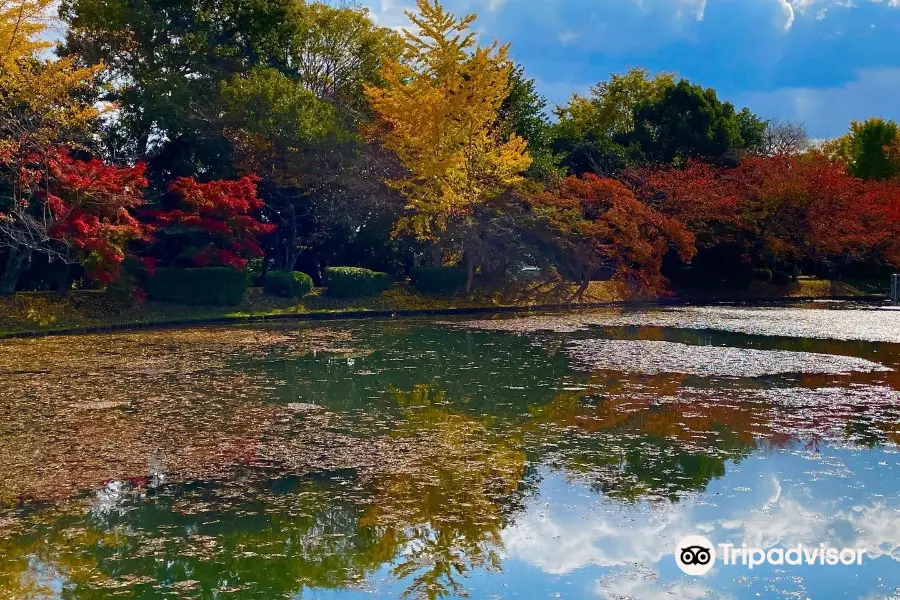 Osawa Pond