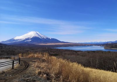 Panoramic Viewing Platform