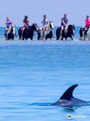 Cponies Beach Horseback Rides