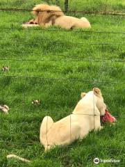 East London Lion Park