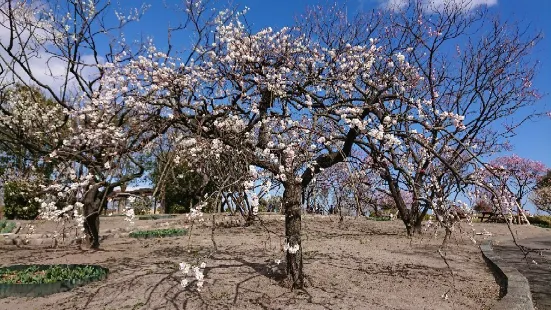 Sendai Agricultural Gardening Center