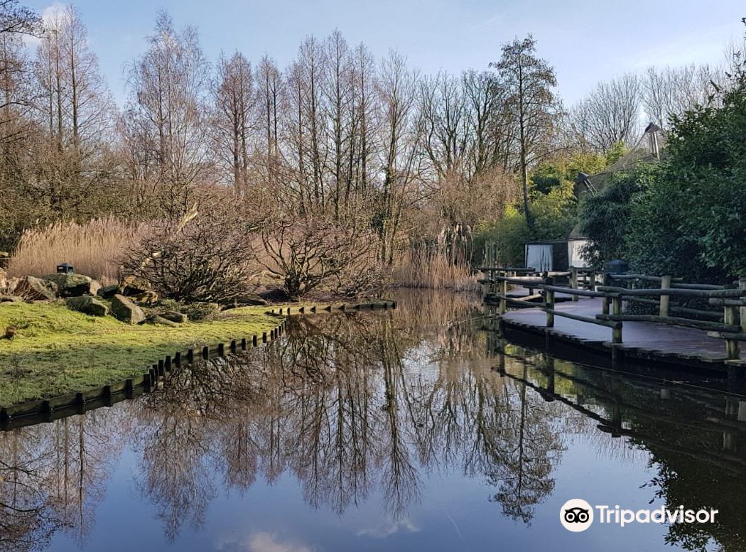 Noord