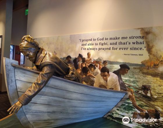 劍橋 自由行套票