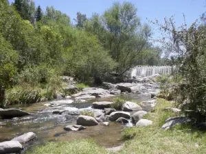 Molino de Thea
