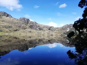 El Cajas National Park