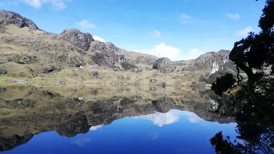 El Cajas National Park