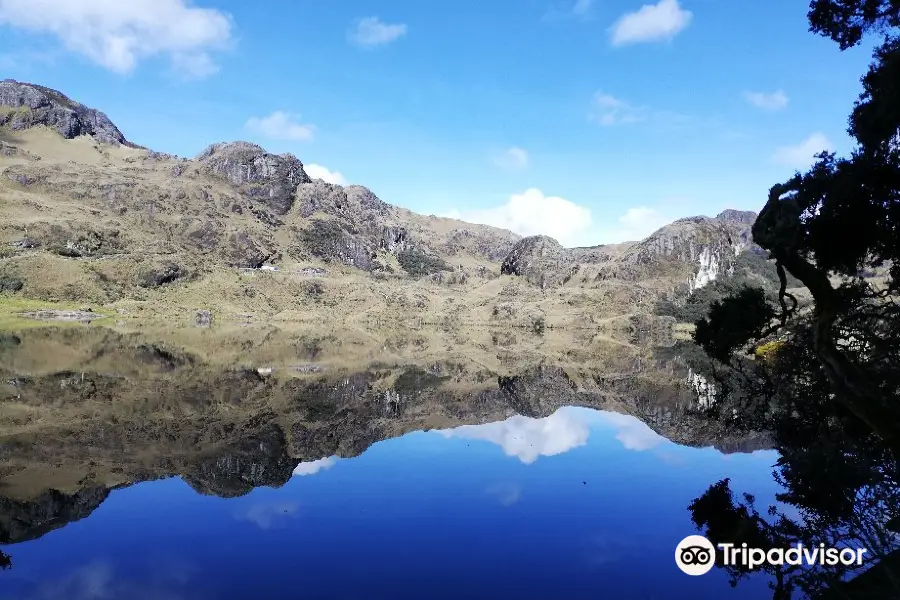 El Cajas National Park