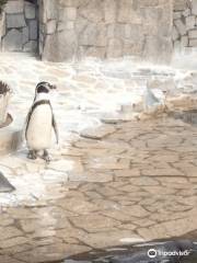 江戶川區自然動物園