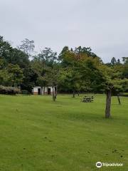 もみじ平総合公園