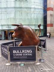 The Bull by Laurence Broderick