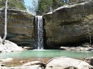 Jackson Falls