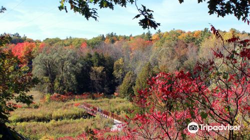 Greenwood Conservation Area