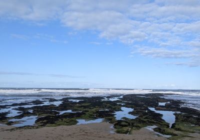 Beadnell Bay Beach