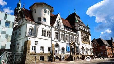 Bomann-Museum