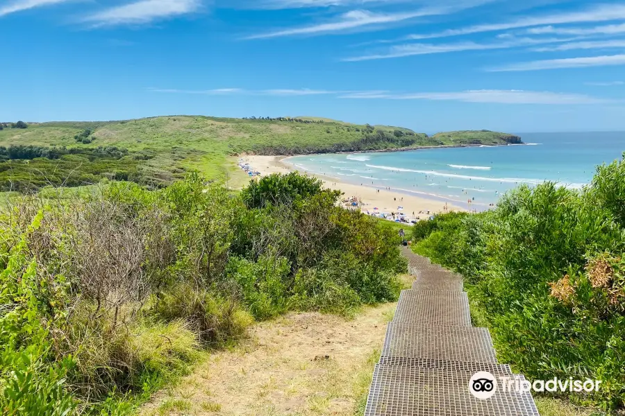 Killalea State Park