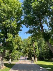 Strukovskiy Garden