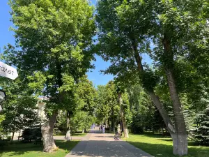 Strukovskiy Garden