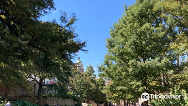 GO RIO San Antonio River Cruises