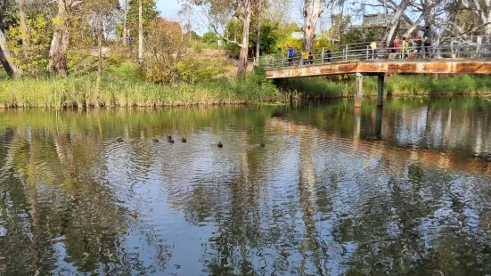 Lake Nagambie