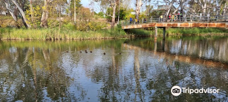 Lake Nagambie