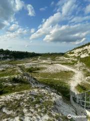 Cherry Hinton Chalk Pits