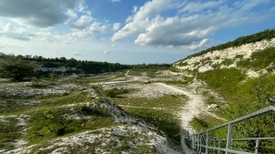 Cherry Hinton Chalk Pits