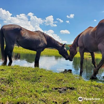Cactus Jack's Trail Rides & Farm Tours