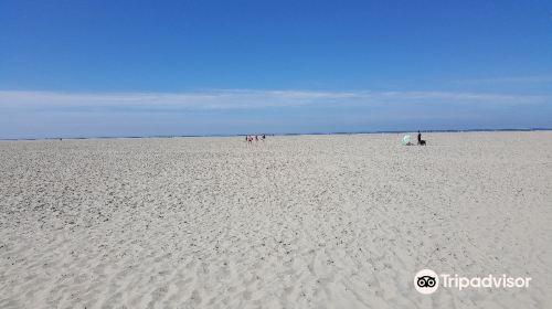 Vuurtorenweg Texel Beach