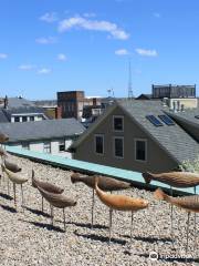 New Bedford Whaling Museum