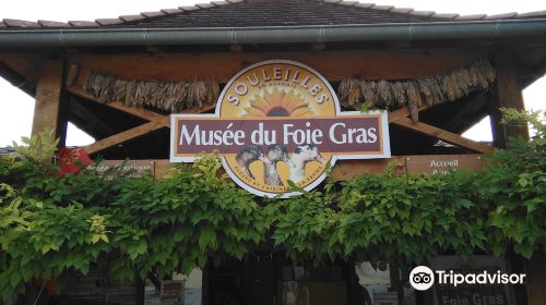 Musée du Foie Gras