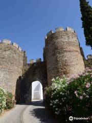 Castle of Vila Viçosa