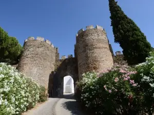 Castle of Vila Viçosa