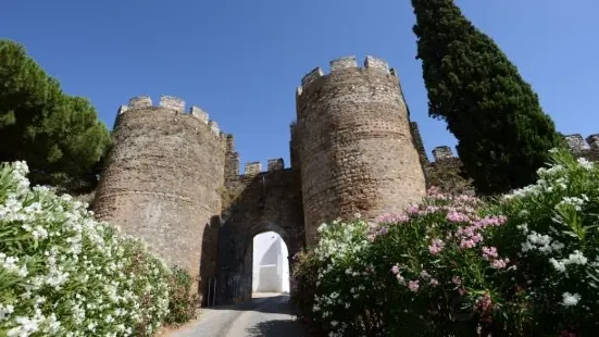 Castle of Vila Viçosa