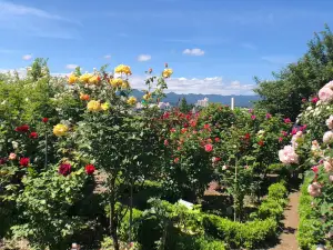 Ishida Rose Garden