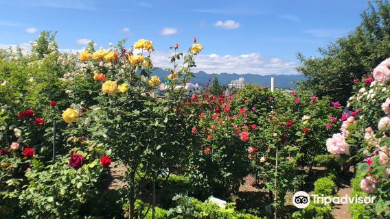 Ishida Rose Garden